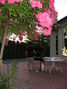 Filename=IMG_2693.JPG
Filesize=193KB
Dimensions=768x1024
Date added=Jul 15, 2007 IMG_2693.JPG