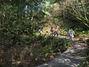 trail.bmp